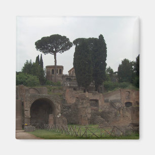 Palatine Hill in Rom, Italien Magnet