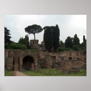 Palatine Hill in Rom, Italien Poster