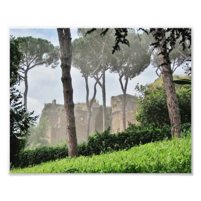 Palatine Hill Through the Trees, Rom Fotodruck (Vorne)