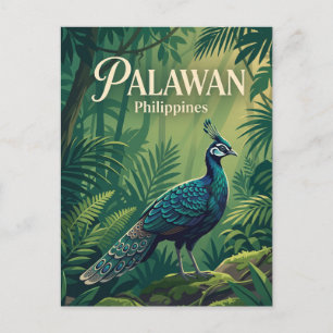 Palawan Philippinen Postkarte