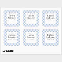 Pale Blue Gingham Kariert Baby Boy Book Plate