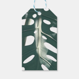 Pale Green Pastel Schweizer Käse Pflanze Geschenkanhänger