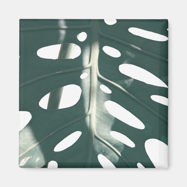 Pale Green Pastel Schweizer Käse Pflanze Magnet (Vorne)