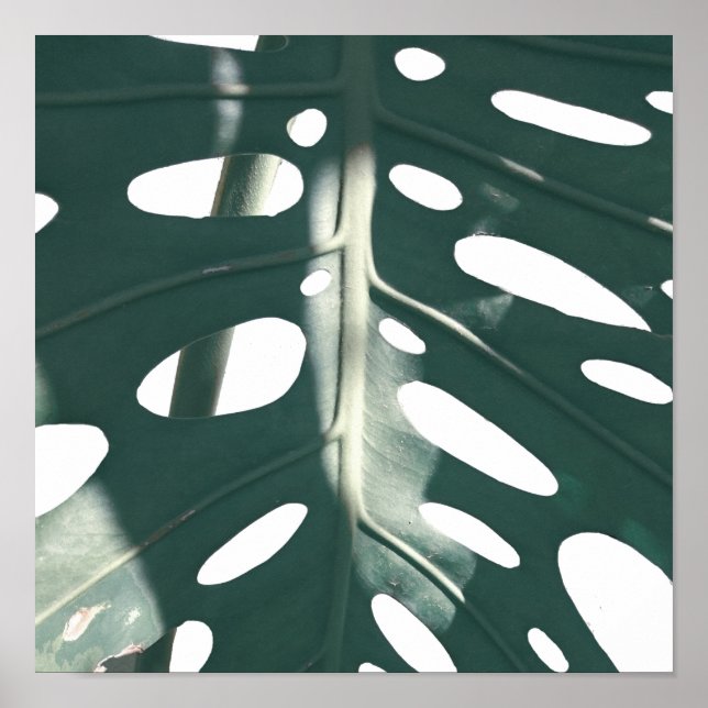 Pale Green Pastel Schweizer Käse Pflanze Poster (Vorne)