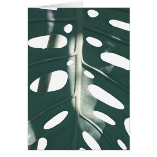 Pale Green Pastel Swiss Pflanze Grußkarte