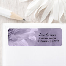 Pale Lila Tinted Gerber Daisy Rücksendeadresse