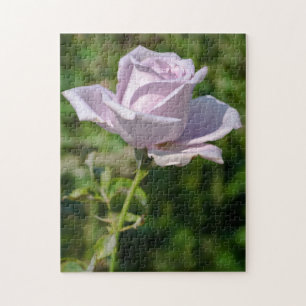 Pale Lilac Tee Rose Jigsaw Puzzle