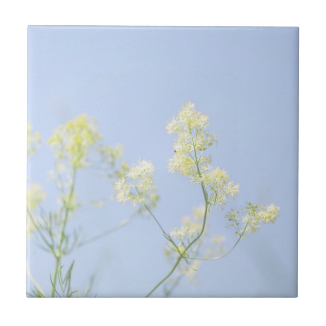 Pale Pastel Blue Sky Wilde Blume Meadow Fliese (Vorderseite)