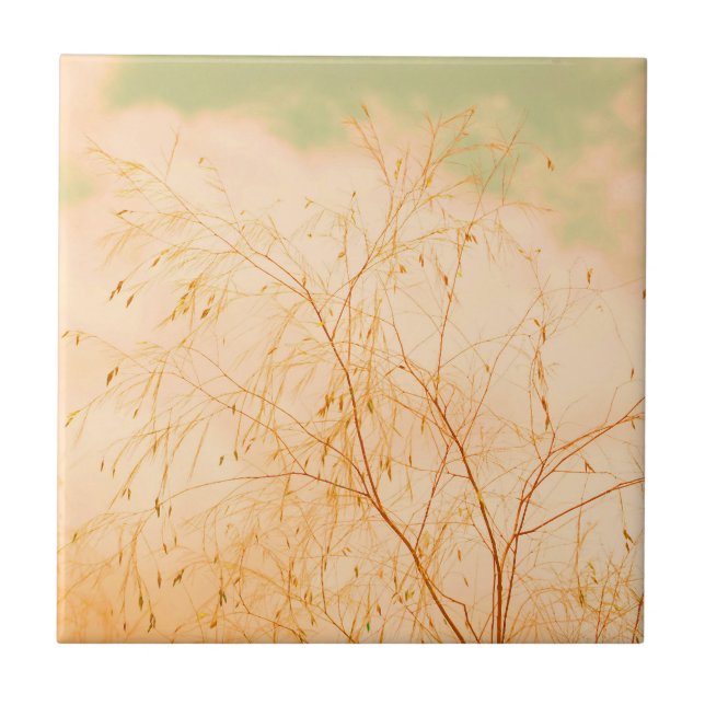 Pale Pastel Light Shades Tree Brunches Sky Fliese (Vorderseite)