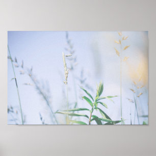 Pale Pastell Green Grass Reeds Meadow Sky Poster