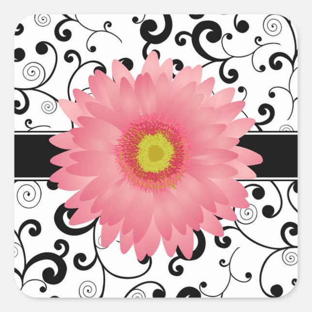 Pale Pink Gerbera Daisy Black Scroll Design Siegel Quadratischer Aufkleber (Vorderseite)