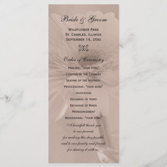 Pale Pink Tinted Daisy Wedding Program Programm (Vorderseite)