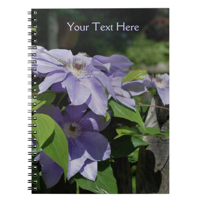 Pale Purple Clematis Flowers Nature Notebook Notizblock (Vorderseite)