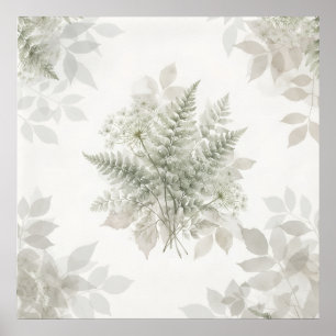 Pale Sage Fern Queen Anne Lace Botanischer Poster