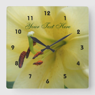Pale Yellow Lily Flower Center Nature Quadratische Wanduhr