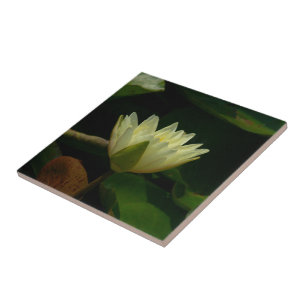 "PALE YELLOW LOTUS BLOSSOM" KERAMIK TITEL/TRIVET FLIESE