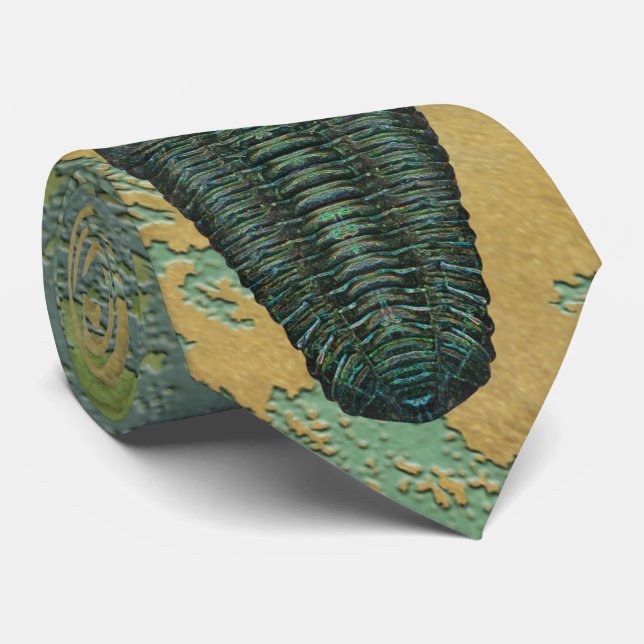"Paleo-chic" Calymene Niagarensis Trilobit Krawatte (Gerollt)