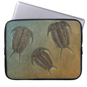 "Paleo-chic" Ceraurus Fossil Trilobit Laptopschutzhülle