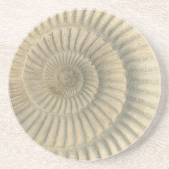 "Paleo-chic" Perisphinctes Ammonit Trinket Tray Getränkeuntersetzer (Vorne)