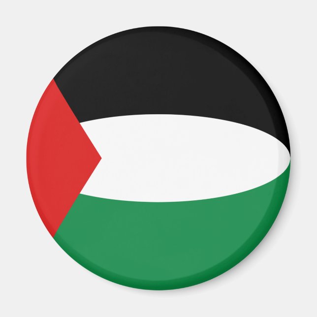 Palestine Fisheye Flag Magnet (Vorne)