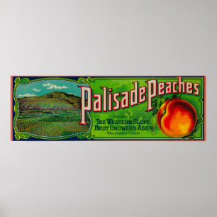 Palisade Peach Poster