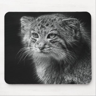Pallass Katzenporträt Mousepad