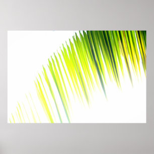 Palm Abstrakt (Poster) Poster
