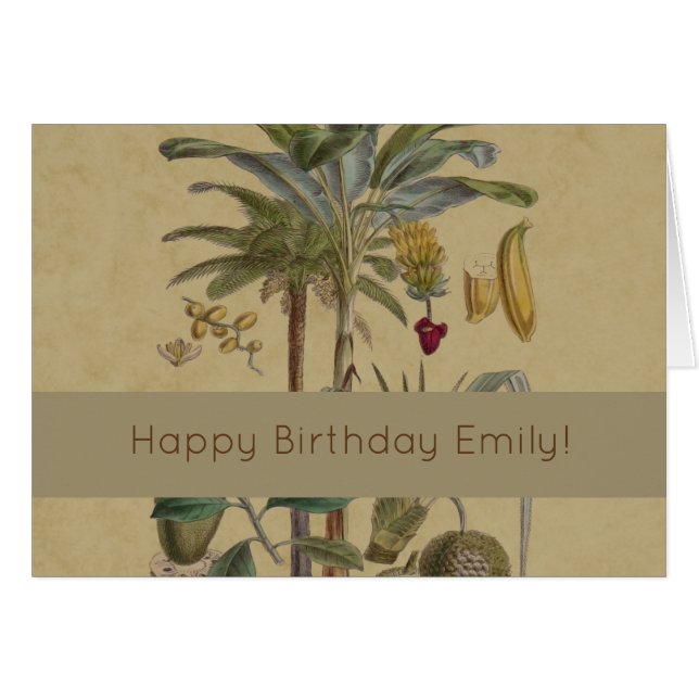 Palm Antique Tropical Frucht Botanische Kunst (Vorderseite (Horizontal))