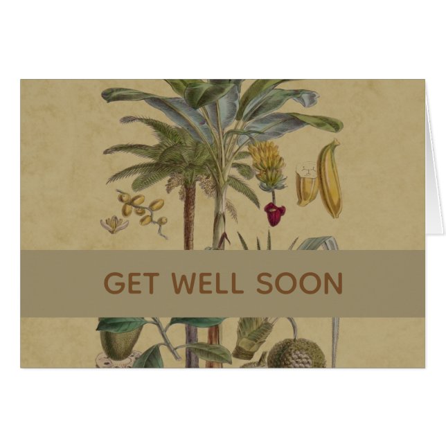 Palm Antique Tropical Frucht Botanische Kunst (Vorderseite (Horizontal))