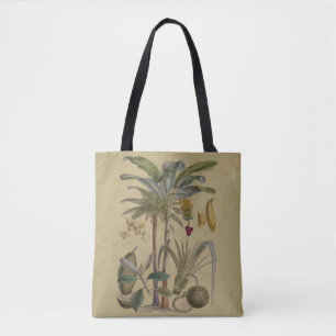 Palm Antique Tropical Frucht Botanische Kunst