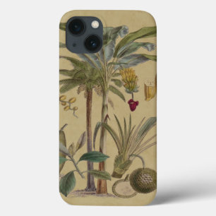 Palm Antique Tropical Frucht Botanische Kunst Case-Mate iPhone Hülle