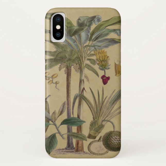 Palm Antique Tropical Frucht Botanische Kunst Case-Mate iPhone Hülle (Rückseite)
