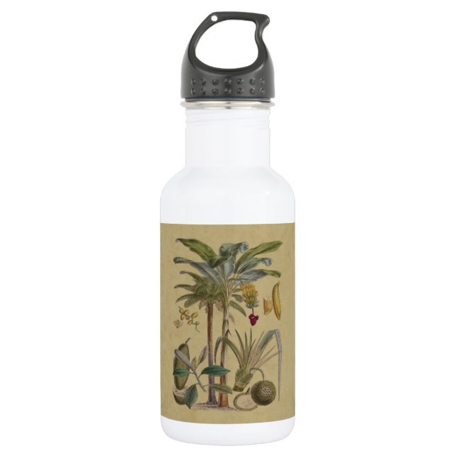 Palm Antique Tropical Frucht Botanische Kunst Edelstahlflasche (Vorderseite)