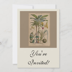 Palm Antique Tropical Frucht Botanische Kunst Einladung