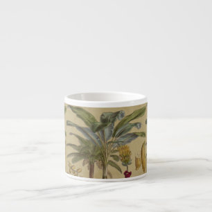 Palm Antique Tropical Frucht Botanische Kunst Espressotasse