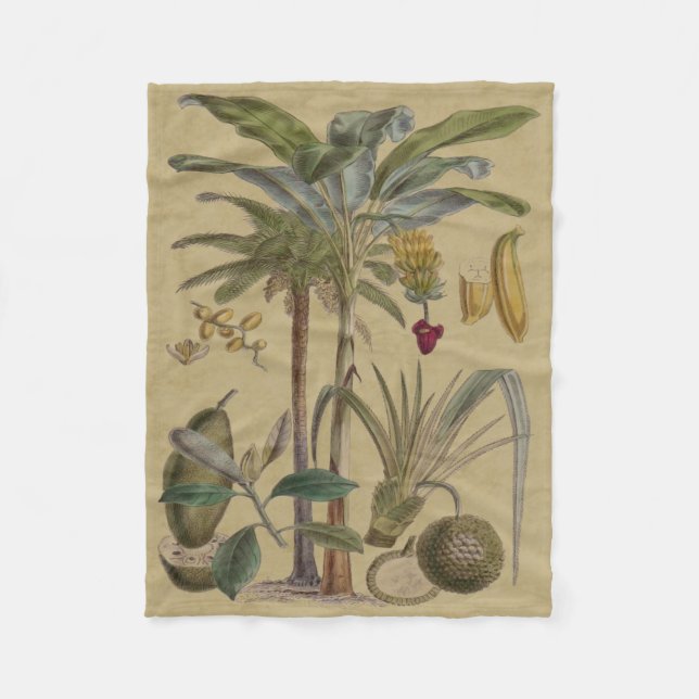Palm Antique Tropical Frucht Botanische Kunst Fleecedecke (Vorderseite)