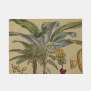Palm Antique Tropical Frucht Botanische Kunst Fußmatte