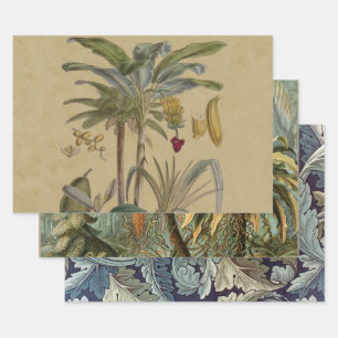 Palm Antique Tropical Frucht Botanische Kunst Geschenkpapier Set
