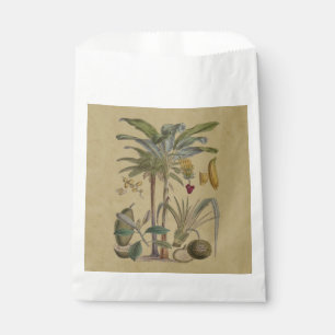 Palm Antique Tropical Frucht Botanische Kunst Geschenktütchen