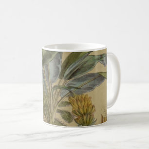 Palm Antique Tropical Frucht Botanische Kunst Kaffeetasse