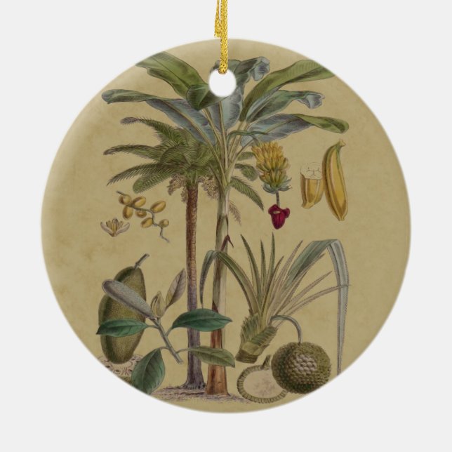 Palm Antique Tropical Frucht Botanische Kunst Keramik Ornament (Hinten)
