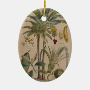 Palm Antique Tropical Frucht Botanische Kunst Keramik Ornament