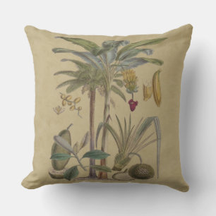 Palm Antique Tropical Frucht Botanische Kunst Kissen