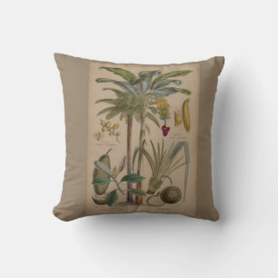 Palm Antique Tropical Frucht Botanische Kunst Kissen
