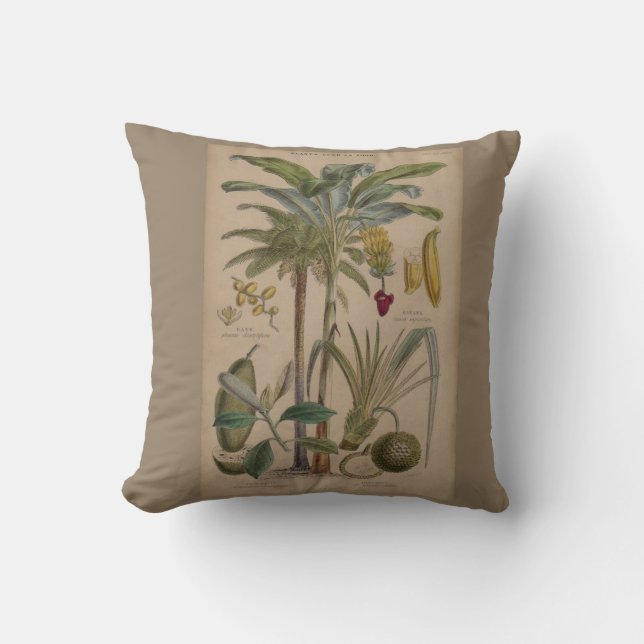Palm Antique Tropical Frucht Botanische Kunst Kissen (Vorderseite)