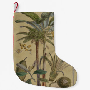 Palm Antique Tropical Frucht Botanische Kunst Kleiner Weihnachtsstrumpf