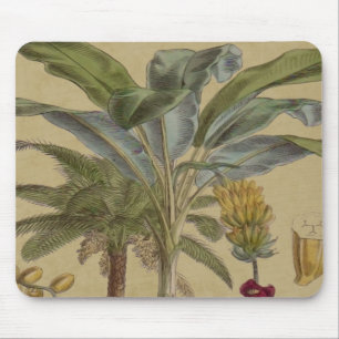 Palm Antique Tropical Frucht Botanische Kunst Mousepad
