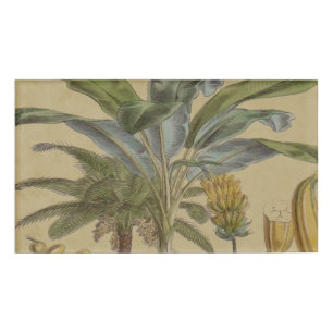 Palm Antique Tropical Frucht Botanische Kunst Namenschild
