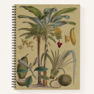 Palm Antique Tropical Frucht Botanische Kunst Notizbuch
