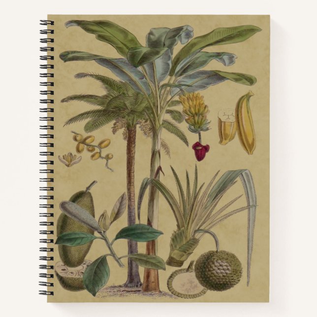 Palm Antique Tropical Frucht Botanische Kunst Notizbuch (Vorderseite)